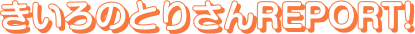 きいろのとりさんREPORT!